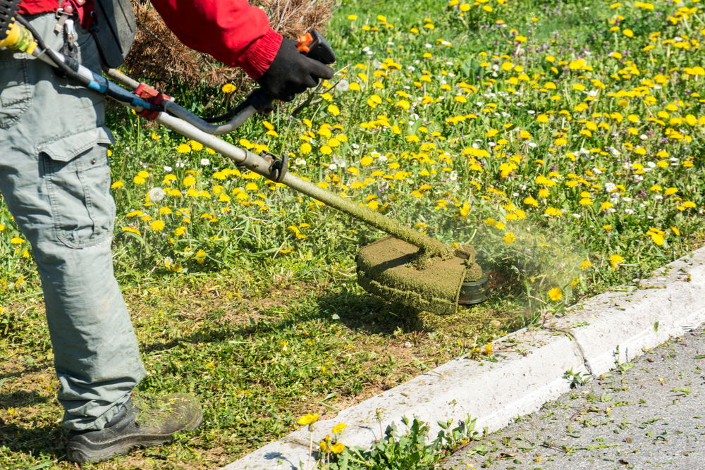 equipement espaces verts